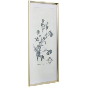 Soft Shoot III Framed Print Under Glass with Matte