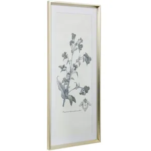 Soft Shoot III Framed Print Under Glass with Matte