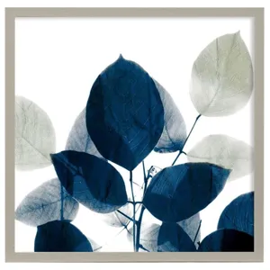 Midnight Leaves