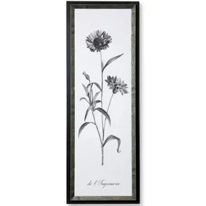 Slender Imperial Framed Print