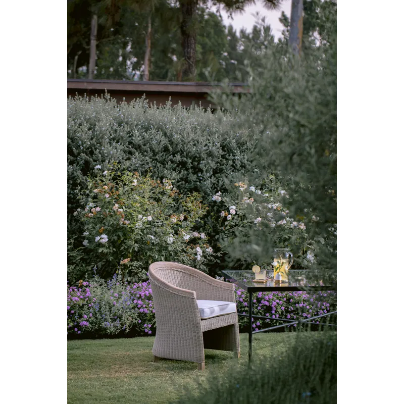 Cambria Dining Chair