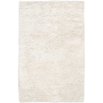 Ashton 4' x 10' Rug