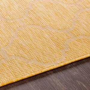 Pasadena 2'6" x 7'3" Rug