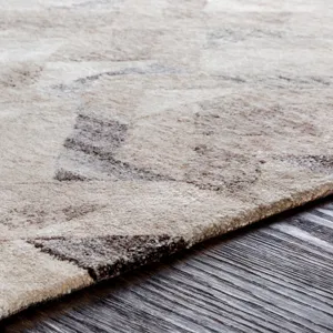 Falcon 6' x 9' Rug