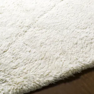 Sahara 2' x 3' Rug