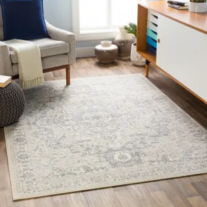 Monaco 2' x 3' Rug