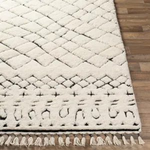 Meknes 2' x 3' Rug