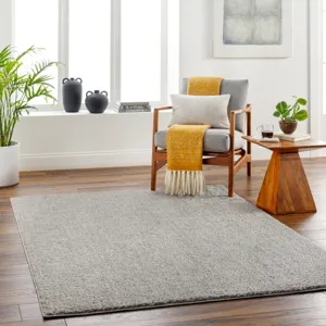 Alfombra 2' x 3' Rug