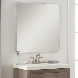 Aranya Mirror