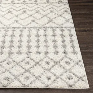 Taza shag 6'7" x 9' Rug