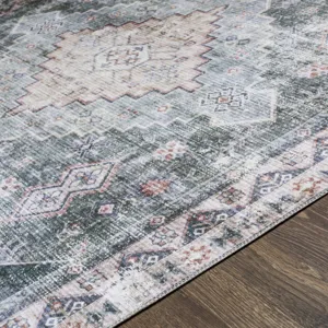 Regen 4' x 6' Rug