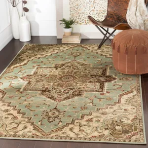 Paramount 6'7" x 9'6" Rug