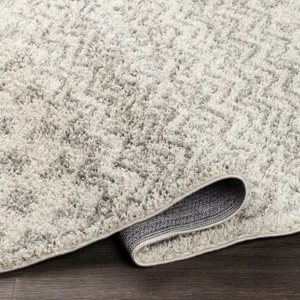 Taza shag 7'10" x 10' Rug