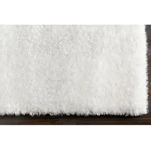 Alaska Shag 2' x 2'11" Rug
