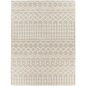Urban Shag 12' x 15' Rug