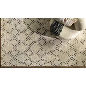 Riah 6' x 9' Rug