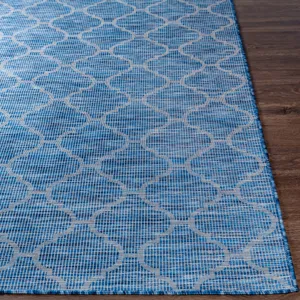 Pasadena 2'6" x 7'3" Rug