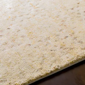 Pampa 8' x 10' Rug