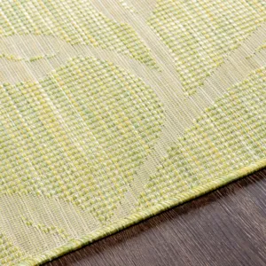 Pasadena 5'1" x 7' Rug