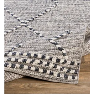 Ariana 2'3" x 3'9" Rug