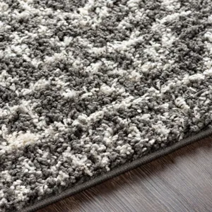 Taza shag 7'10" x 10' Rug