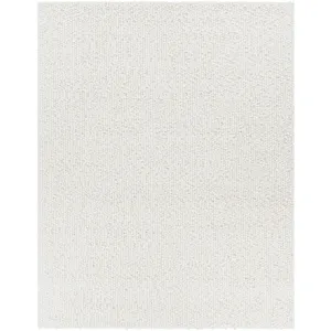 Neravan 8' x 10' Rug