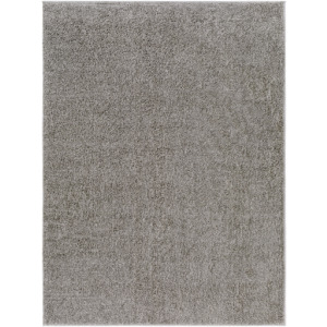Alfombra Rug