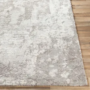 Venice 3'11" x 5'7" Rug