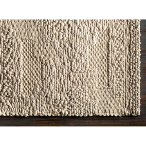 Aravalli 2' x 3' Rug