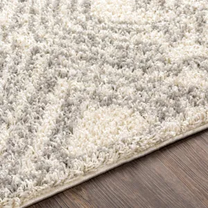 Taza shag 7'10" x 10' Rug