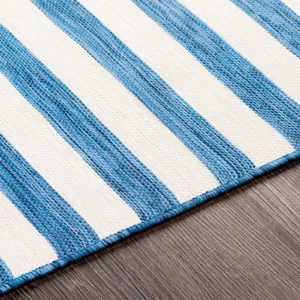 Pasadena 2'7" x 7'3" Rug
