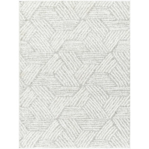 Cloudy Shag Machine Woven Rug