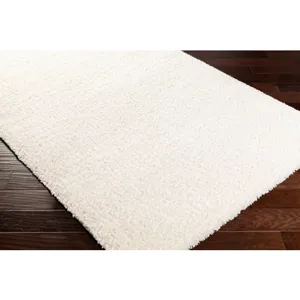 Deluxe shag 4'3" x 5'7" Rug