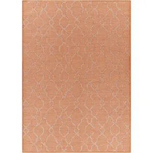 Pasadena 5'1" x 7' Rug