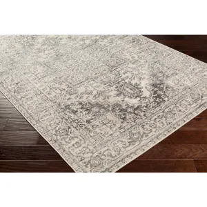 City light 6'7" x 9' Rug