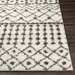 Taza shag 6'7" x 9' Rug