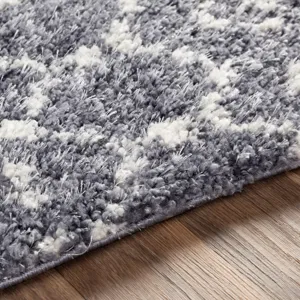 Maroc shag 2' x 3' Rug