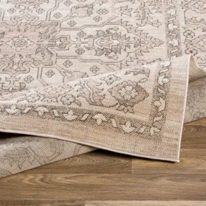 Rafetus 2' x 2'11" Rug
