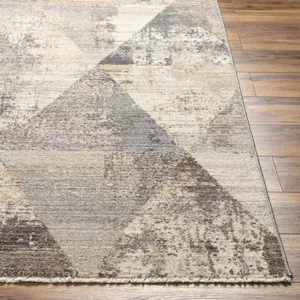Aida 8'10" x 13' Rug