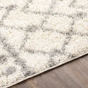 Taza shag 6'7" x 9' Rug