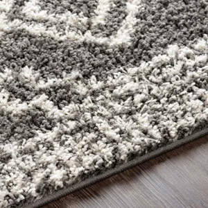 Taza shag 7'10" x 10' Rug