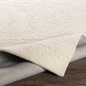 Taraash 8' x 10' Rug