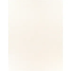 Deluxe shag 7'10" x 10'3" Rug