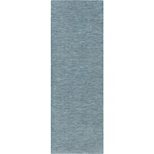 Pasadena 2'6" x 7'3" Rug