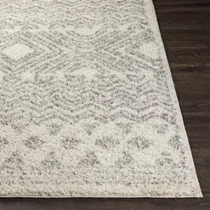 Taza shag 7'10" x 10' Rug