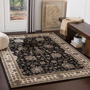 Paramount 1'10" x 2'11" Rug