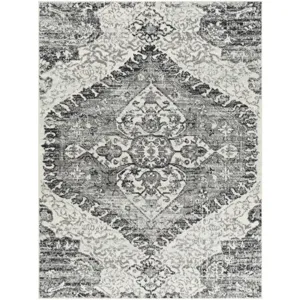 Tevazu 6'7" x 9' Rug