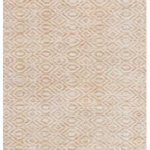 Astara 9' x 13' Rug