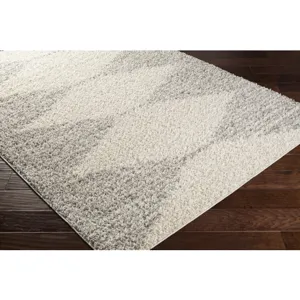Taza shag 6'7" x 9' Rug