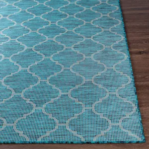 Pasadena 2'6" x 4' Rug
